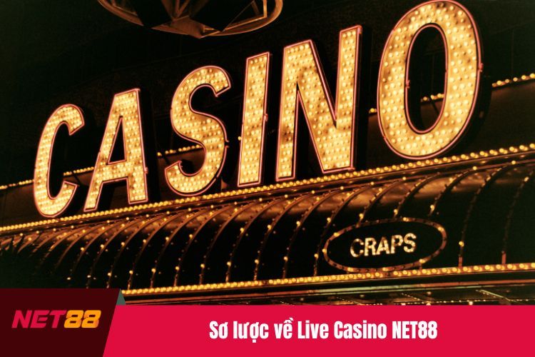 Sơ  lược về Live Casino NET88