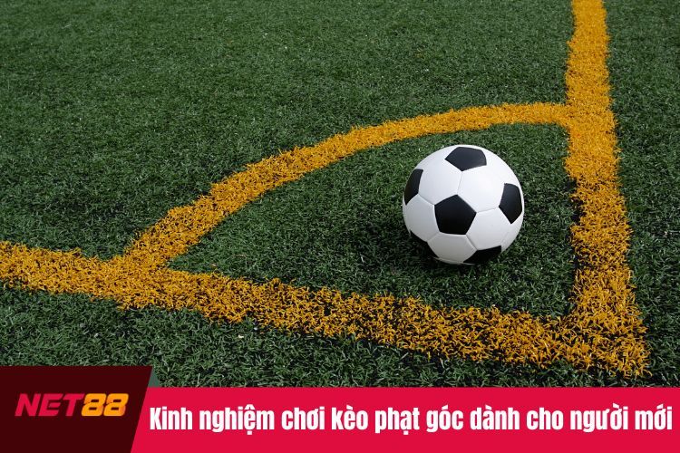 Kinh nghiệm chơi kèo phạt góc dành cho người mới