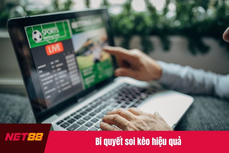 Bí quyết soi kèo hiệu quả