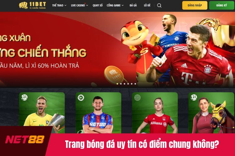 Trang bóng đá uy tín có điểm chung không?